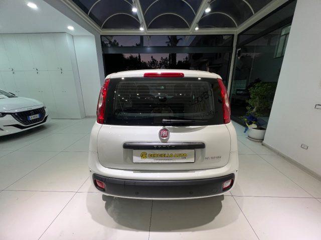 FIAT Panda 1.0 FireFly S&S Hybrid Pandina tua da ?139,00