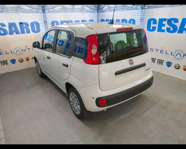 FIAT Panda 1.0 firefly hybrid Icon s&s 70cv 5p.ti