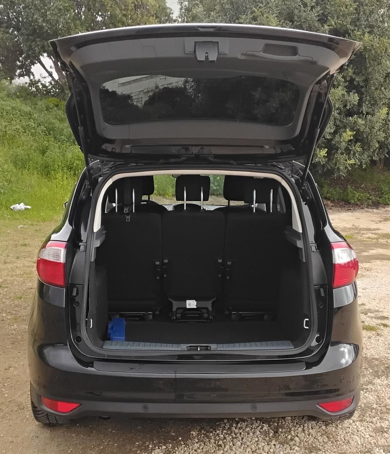 Ford C-Max 1.6 TDCi 115CV Titanium