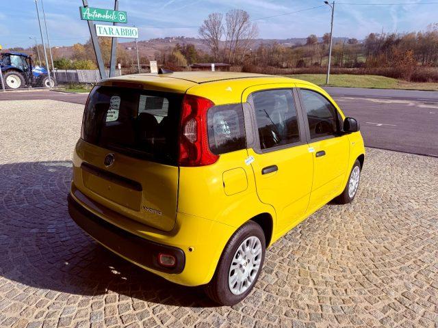 FIAT New Panda ICON - KM 0 10/2025- 5° POSTO - RADIO - SENSORI