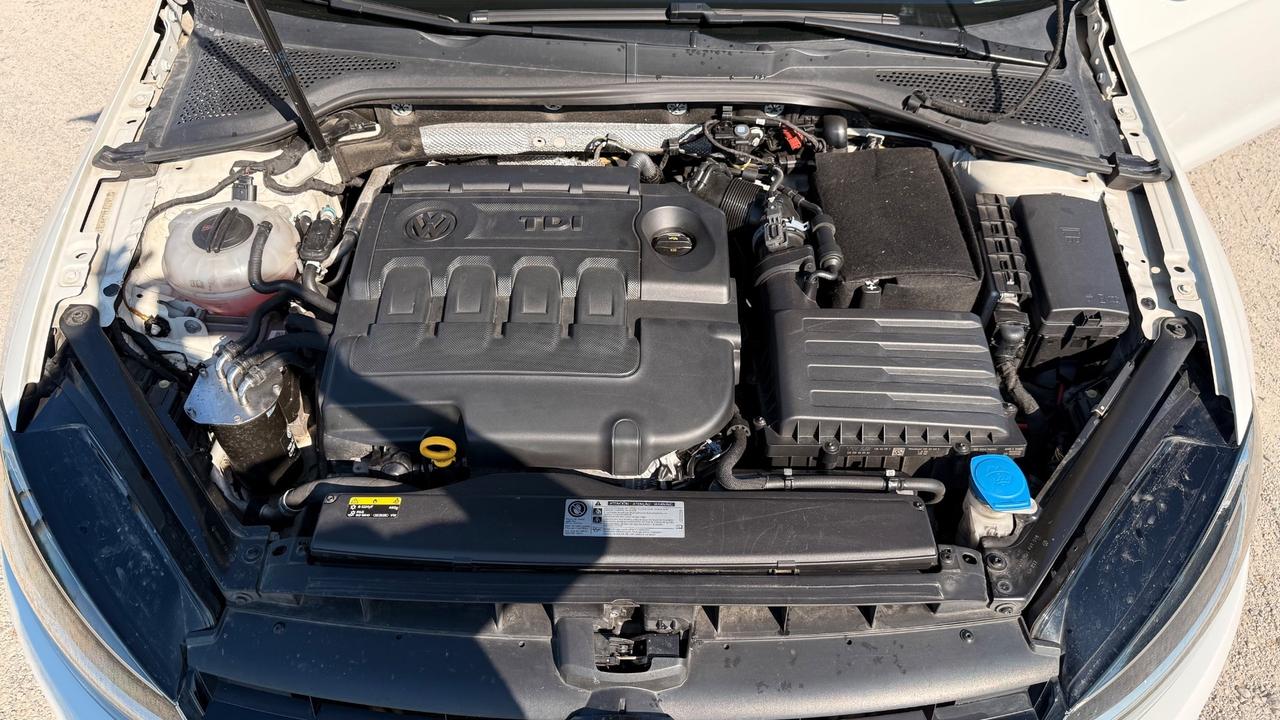 Volkswagen Golf 1.6 TDI 115 CV 5p. Highline BlueMotion Technology