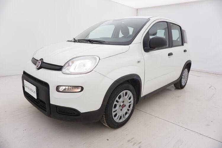 Fiat Panda Hybrid BR126525 1.0 Mild Hybrid 70CV