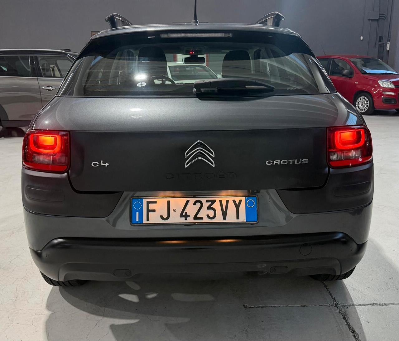 Citroen C4 Cactus Manuale Distribuzione ok