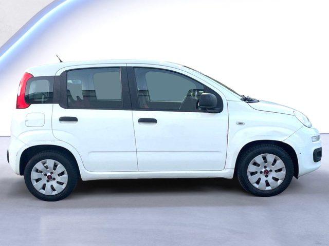 FIAT Panda 1.2 BENZ 69 CV Lounge ADATTA A NEOPATENTATI