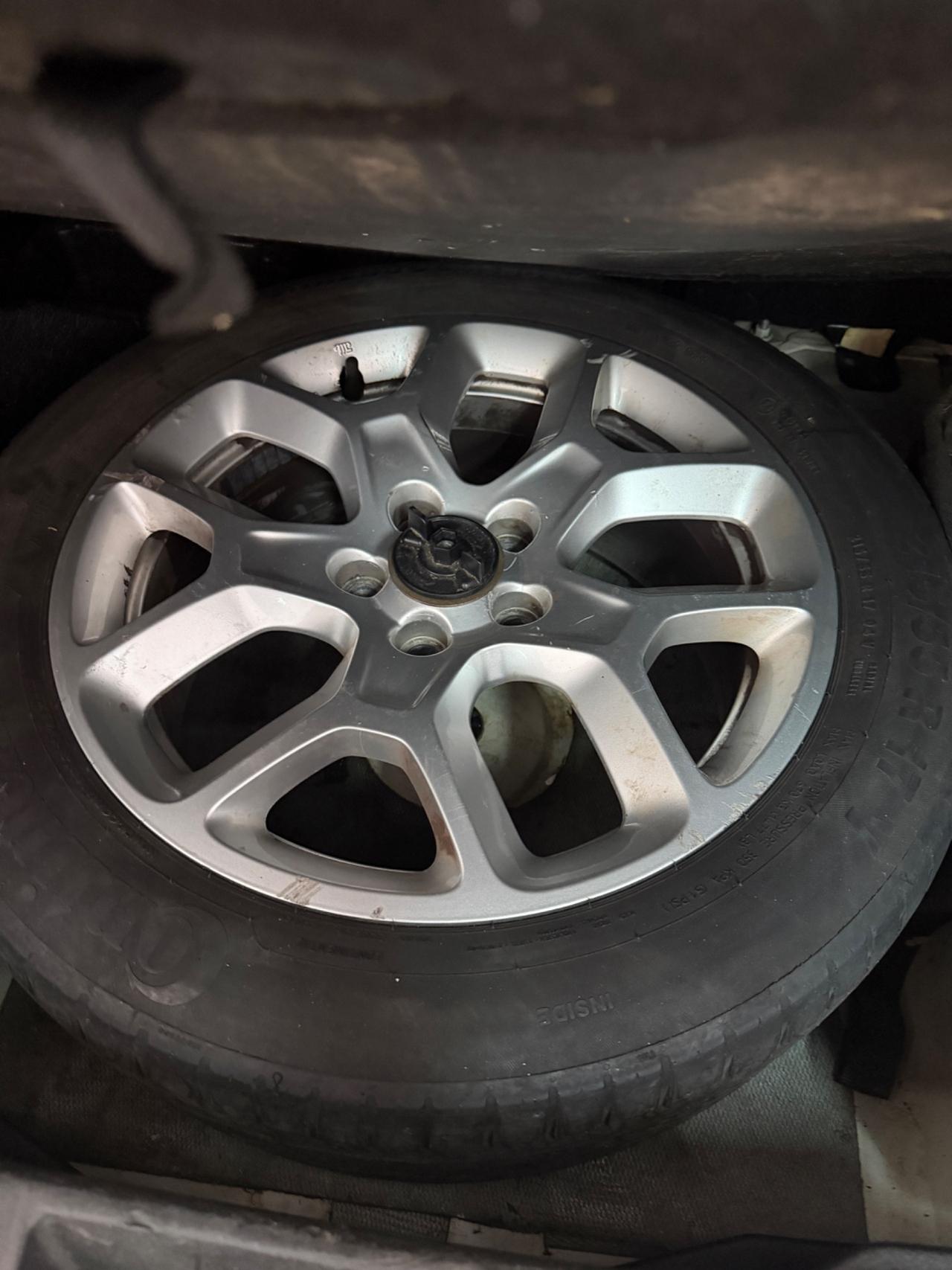 Jeep Renegade 1.6 Mjt DDCT 120 CV Business