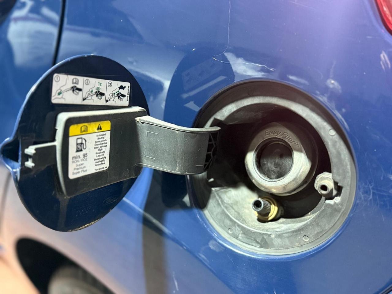 Ford Fiesta 1.4 5 porte Bz.- GPL Black & White Edition