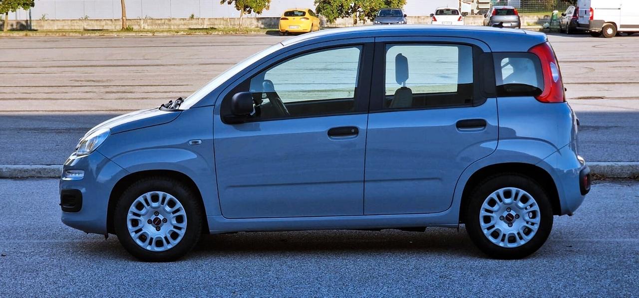 Fiat PANDA 1.0 FireFly 70cv S&S Hybrid