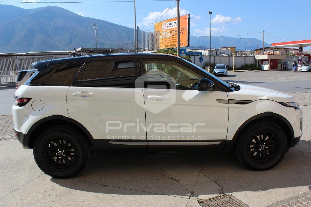 LAND ROVER Range Rover Evoque 2.0 TD4 150 CV 5p. Business Edition