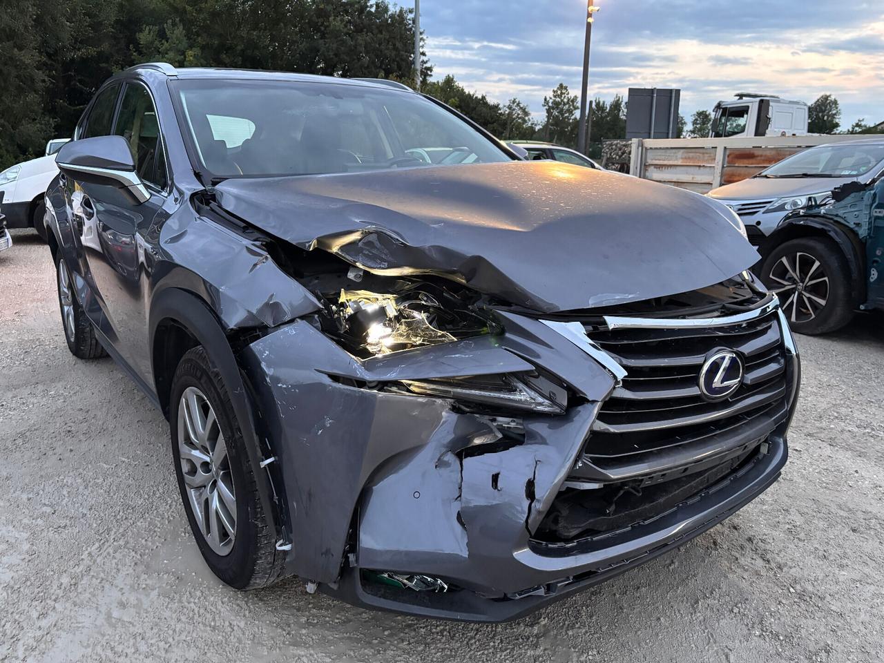 Lexus NX 300h Hybrid 4WD Luxury