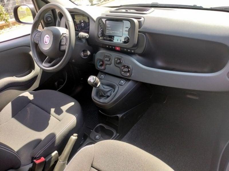 FIAT Pandina 1.0 FireFly 65cv S&S 6m Hybrid Icon