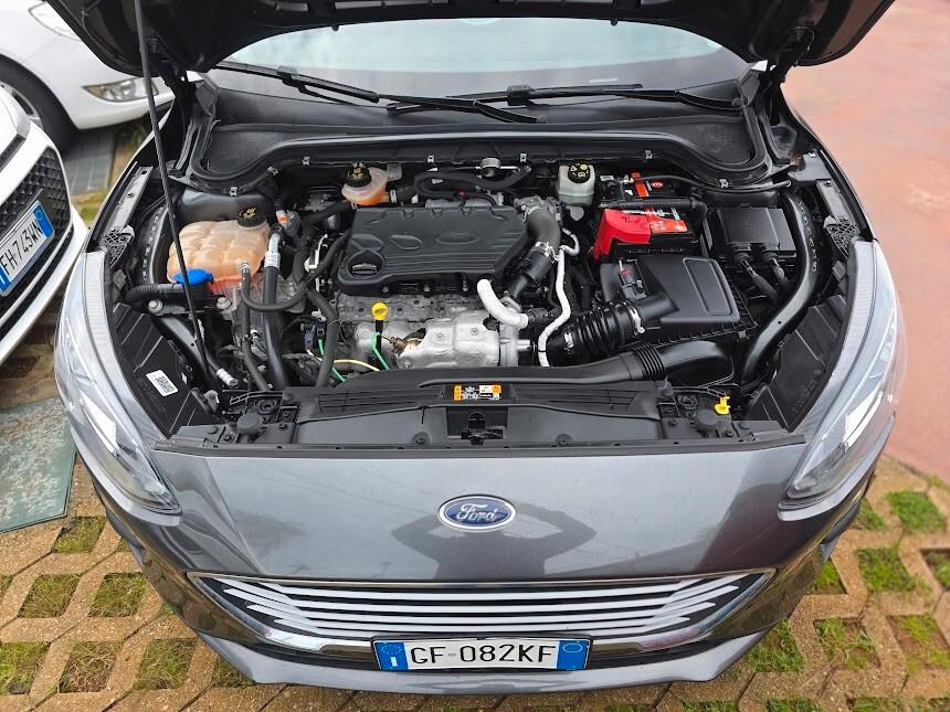 Ford Focus 1.5 EcoBlue 120 CV SW Business