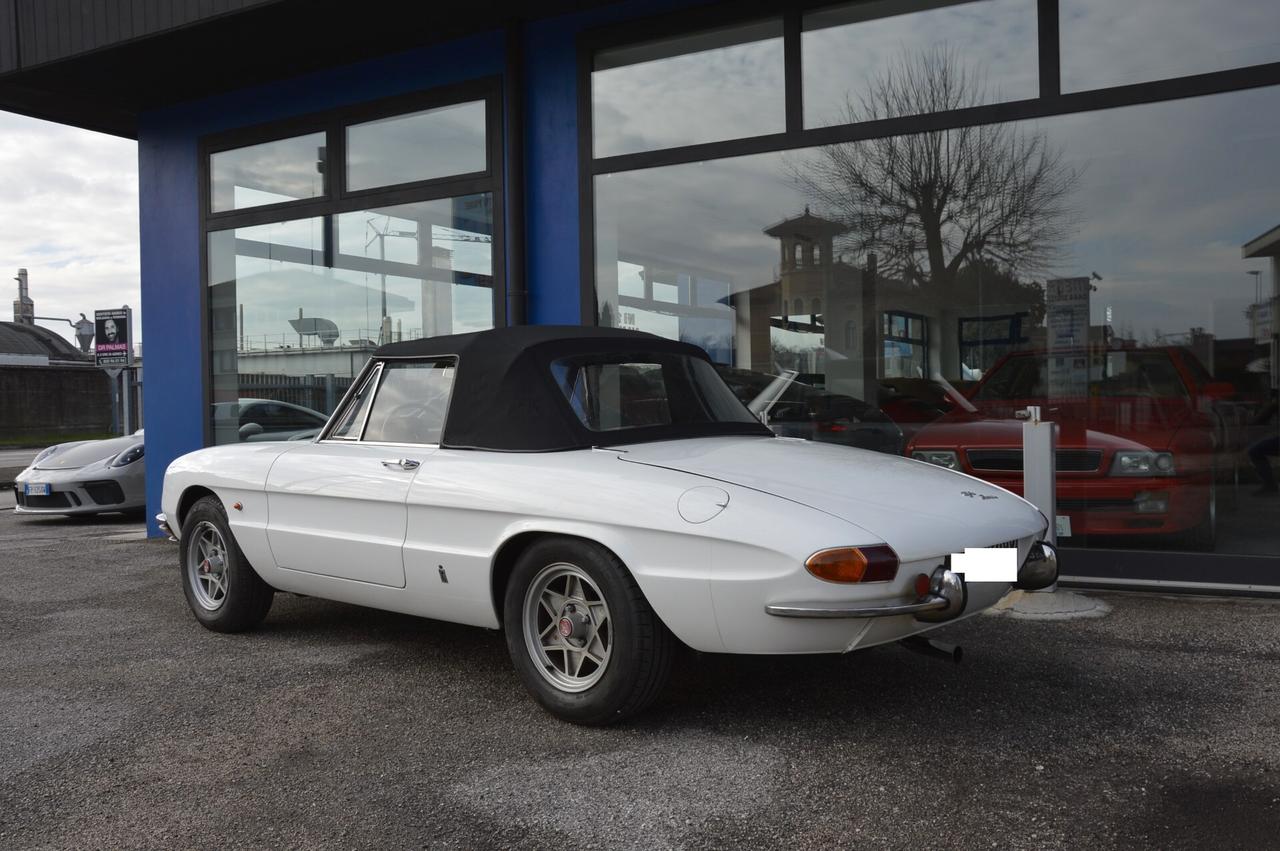 Duetto Osso Di Seppia 1.6