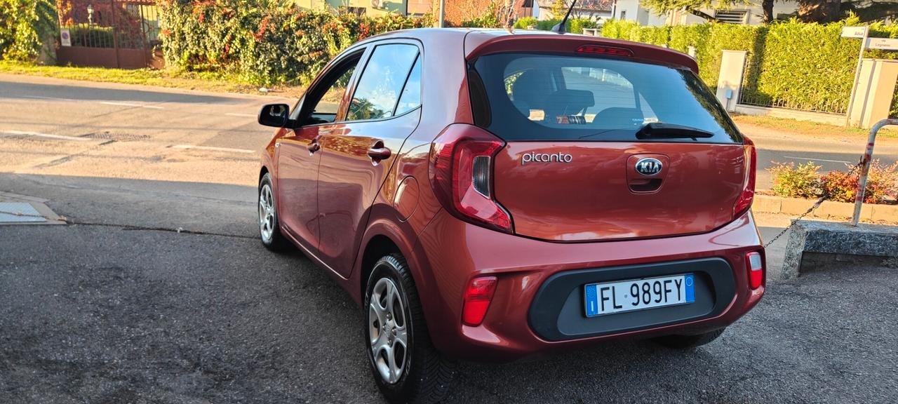Kia Picanto 1.2 12V 5 porte GT Line