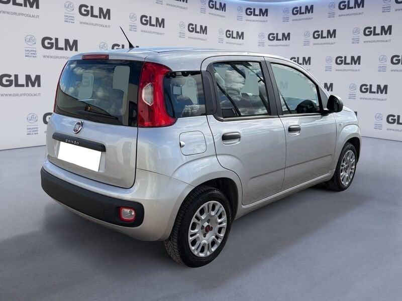 FIAT Panda 1.2 69cv Young