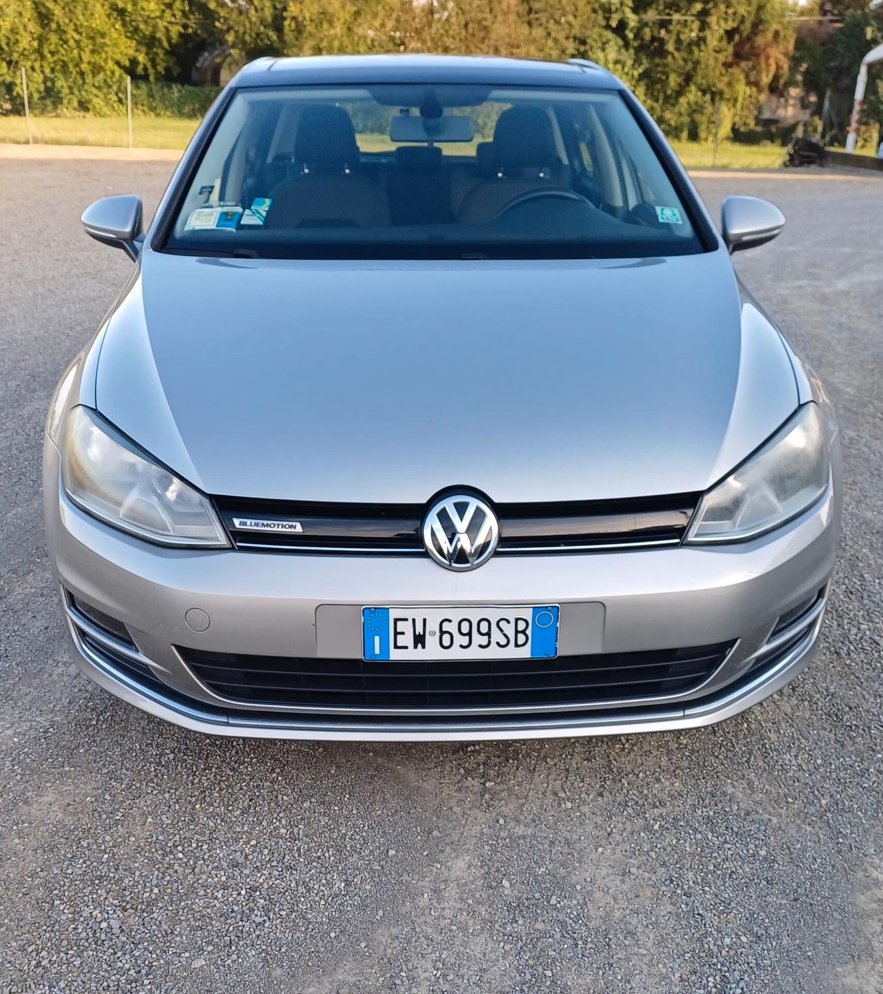 Volkswagen Golf 1.4 TGI 5p. Highline BlueMotion