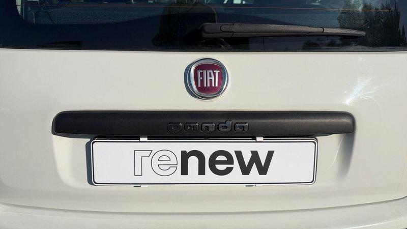FIAT Panda 1.2 Easy s&s 69cv my19