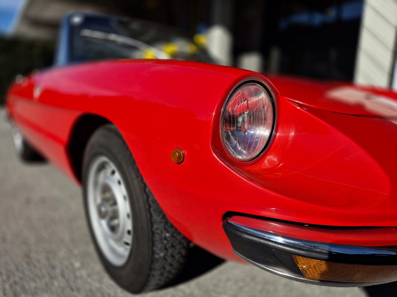 Alfa Romeo Spider 1300 coda tronca