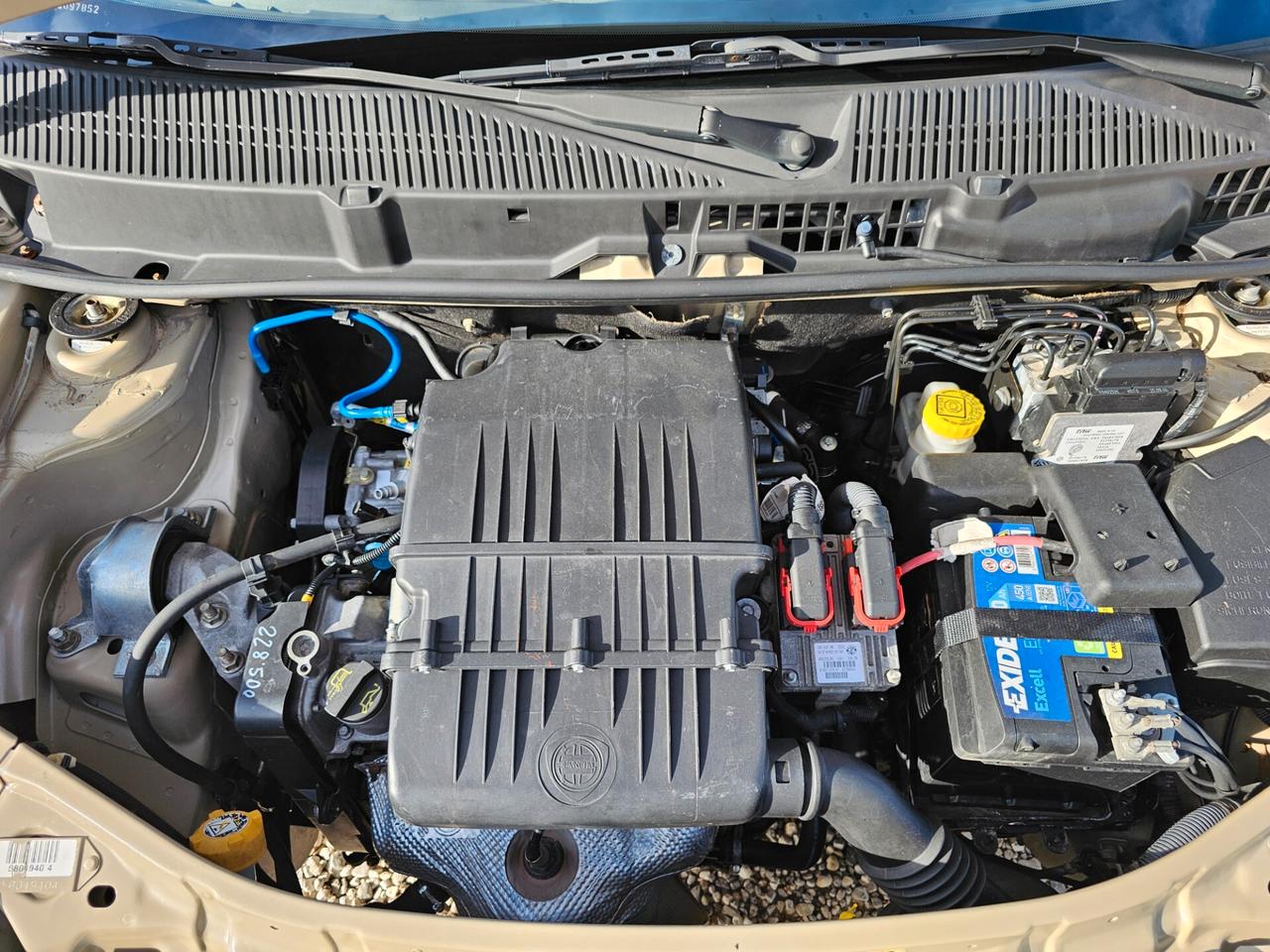 Lancia Ypsilon 1.4 77cv ADATTA X NEOPATENTATI