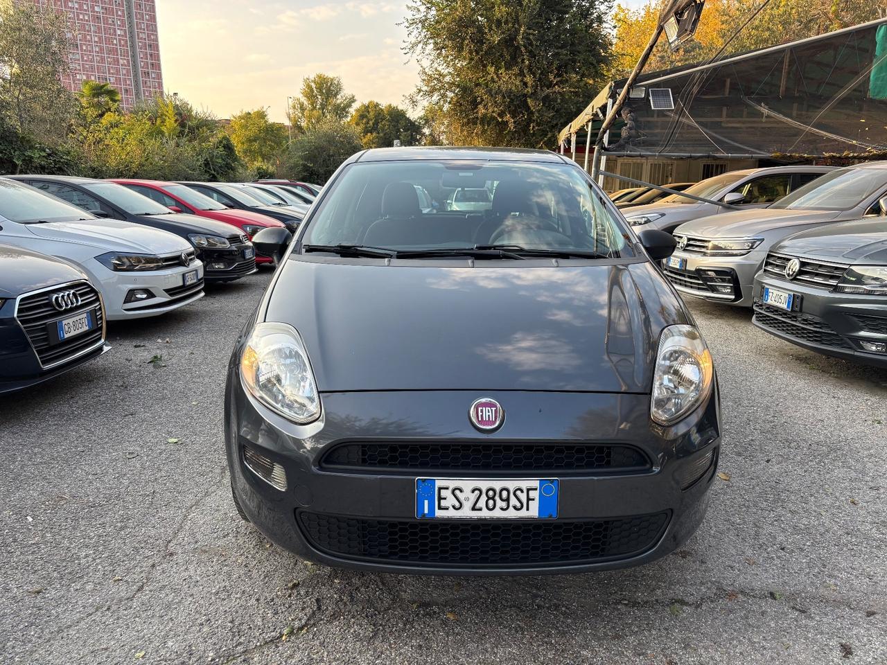 Fiat Punto 1.2 8V 5 porte Lounge OK Neopatentati
