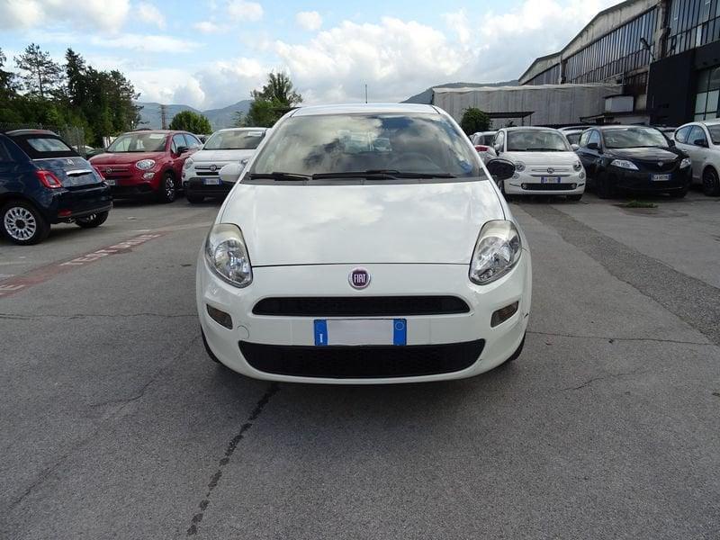 FIAT Punto Punto 1.4 8V 5 porte Easypower Street