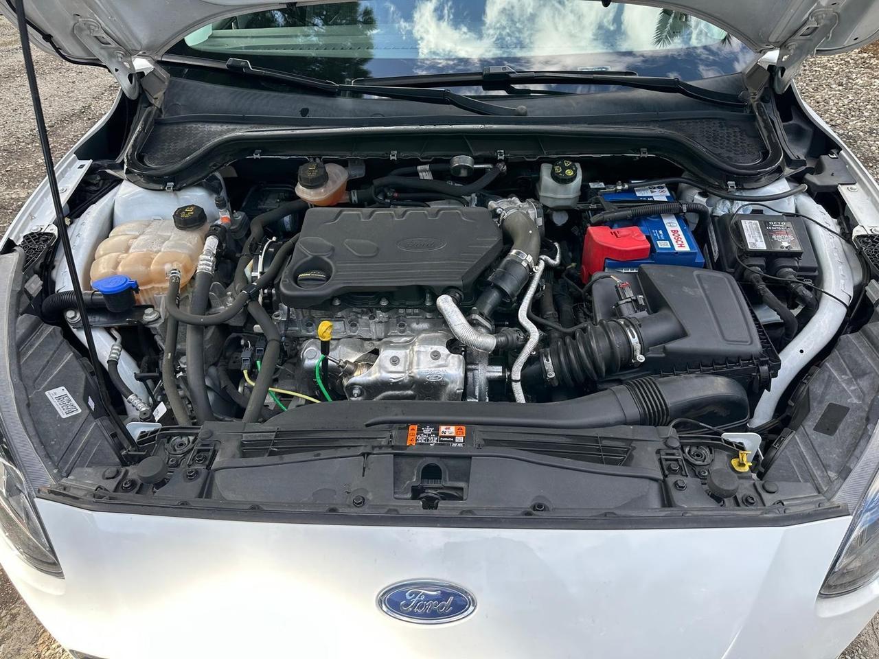 Ford Focus aziendale diesel garanzia permuta