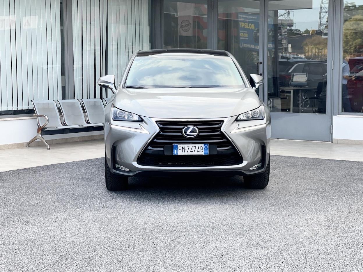 Lexus NX 300h 2.5 Hybrid 155CV E6 Automatica - 2017