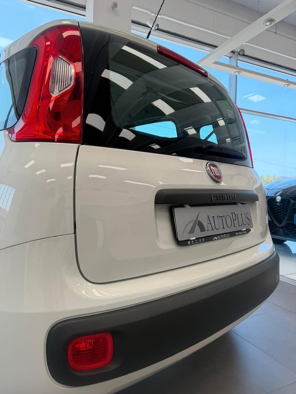 Fiat Panda 1.2 Lounge 69 cv