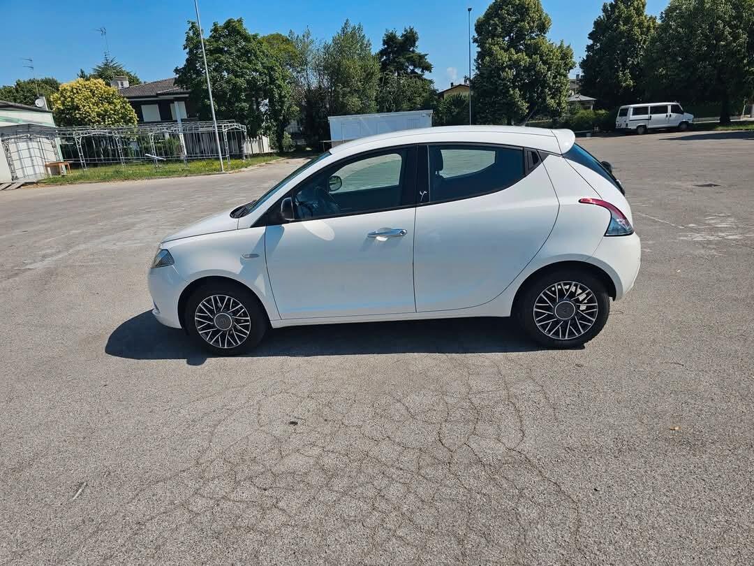 Lancia Ypsilon 1.2 69 CV 5 porte Gold