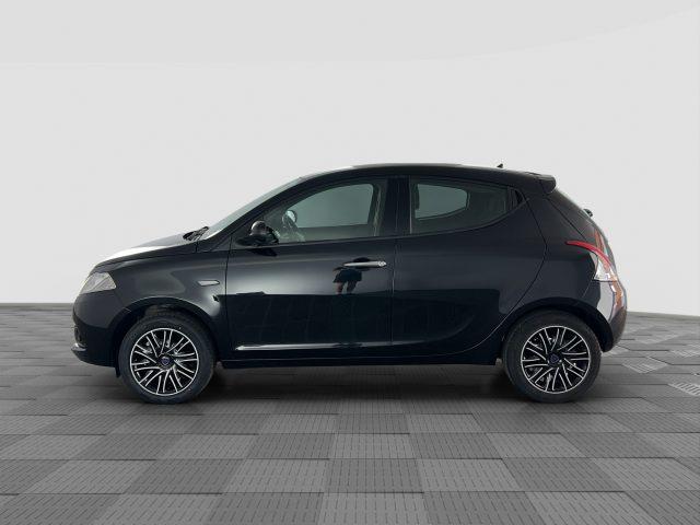 LANCIA Ypsilon Ypsilon 1.2 69 CV 5 porte S&S Gold