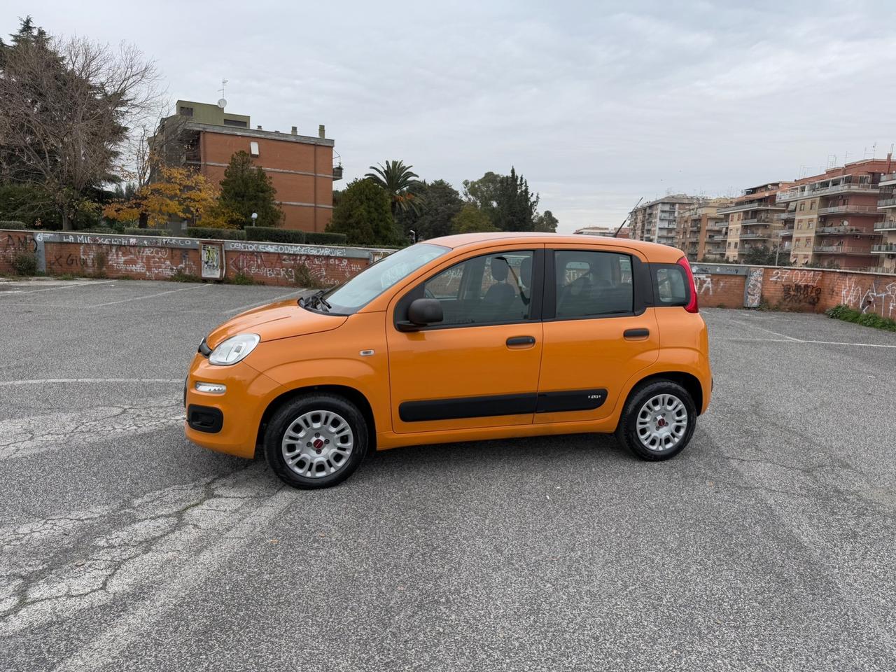 Fiat Panda 1.2 Easy - 31000 Km - Omologata 5 Posti