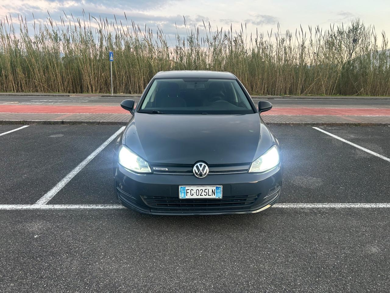 Volkswagen Golf serie 7 - 1.4 TGI 5p. Executive BlueMotion