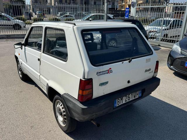 FIAT Panda 1ª serie 900 i.e. cat Young