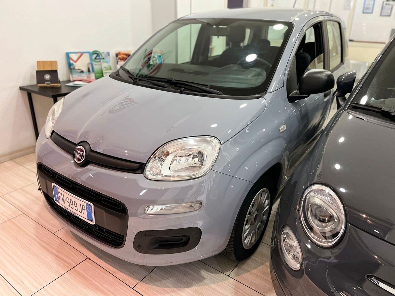 Fiat Panda 1.2 Easy 2019 Italiana Benzina