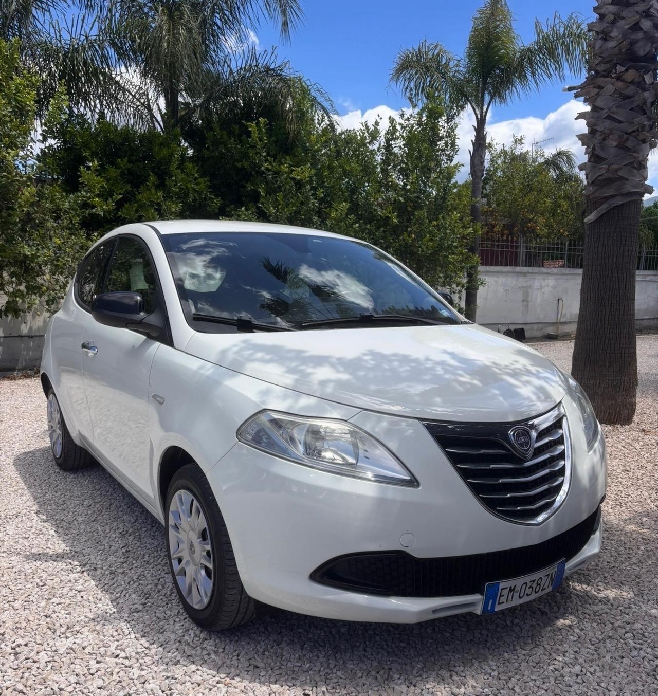Lancia Ypsilon 1.2 69 CV 5 porte S&S Platinum