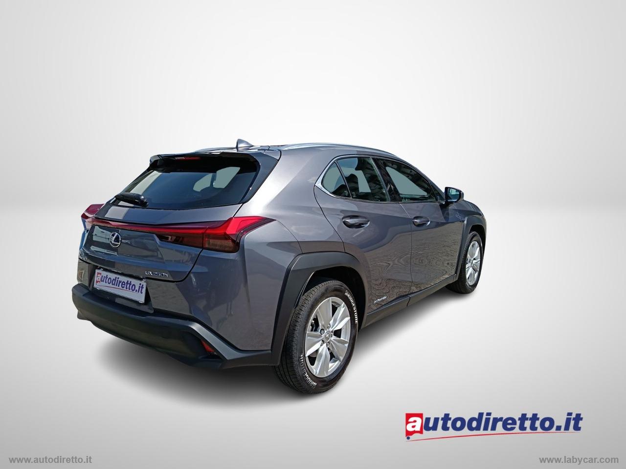 LEXUS UX Hybrid Business