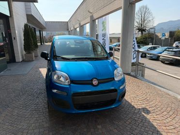 Fiat Panda Pandina 1.0 FireFly 65 CV Hybrid Pop