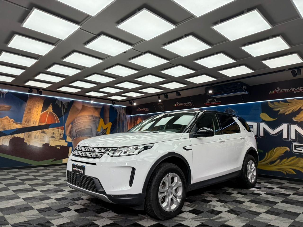 Land Rover Discovery Sport 2.0 TD4 163 CV AWD Auto R-Dynamic HSE (528)