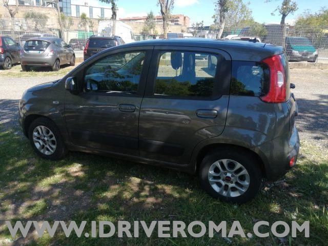 FIAT Panda 1.2 LOUNGE plus + GPL "DIVERSI COLORI IN SEDE"