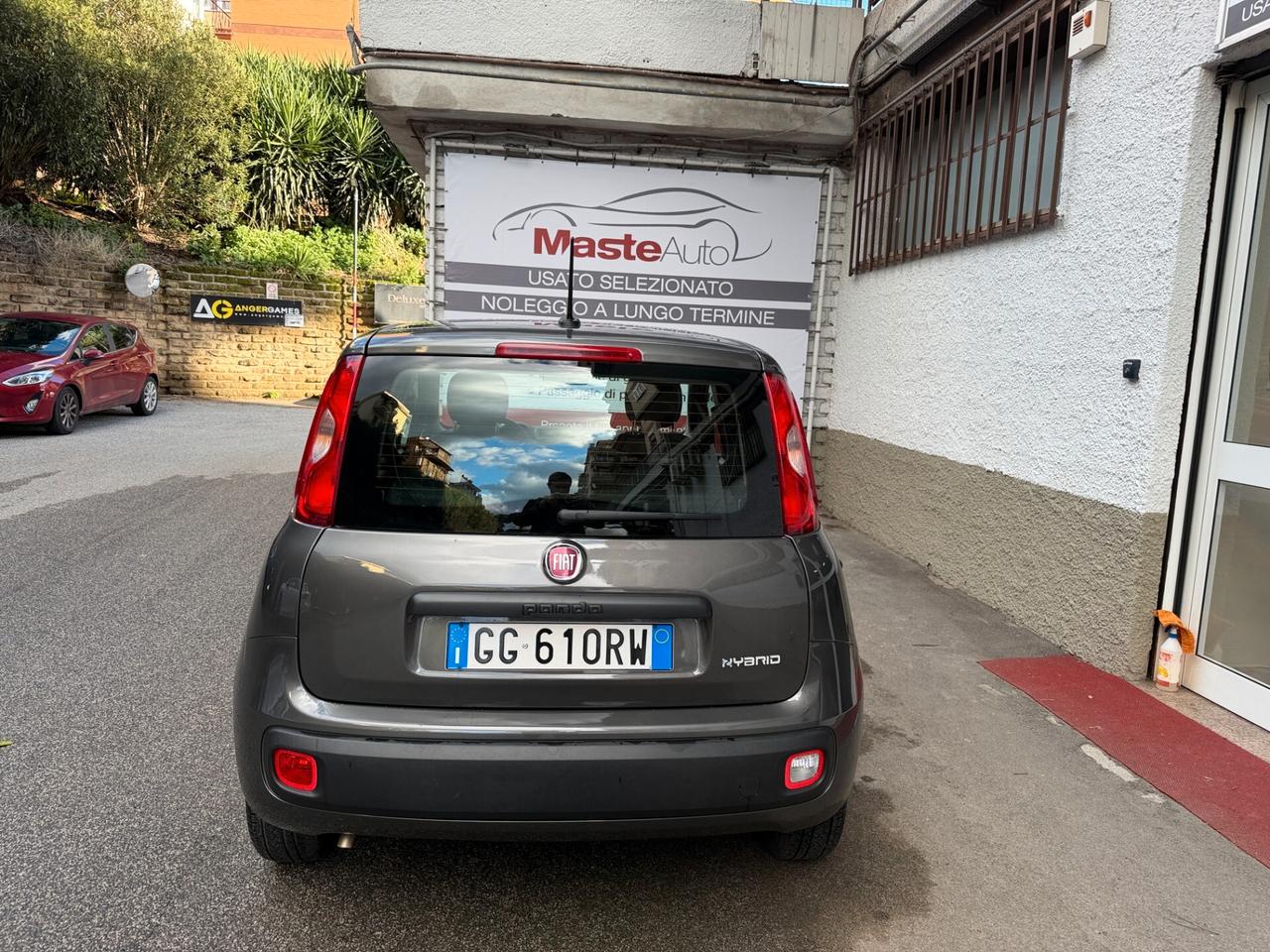 Fiat Panda 1.0 Hybrid / Neopatentati / Tua da 131,00 €