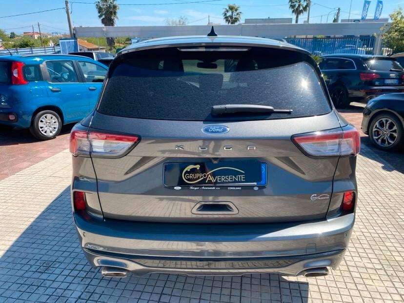 Ford Kuga 1.5 EcoBlue 120 CV aut. 2WD ST-Line X