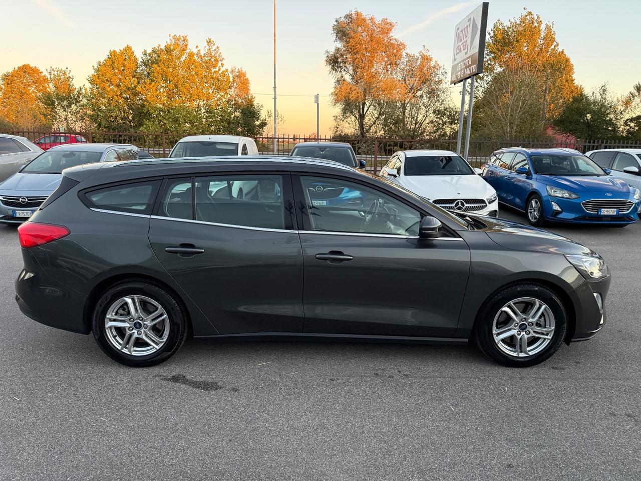 Ford Focus 1.5 EcoBlue 120 CV automatico SW Business Co-Pilot