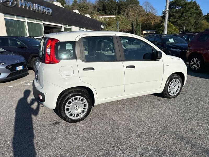 FIAT Panda New 1.0 70cv Hybrid Panda