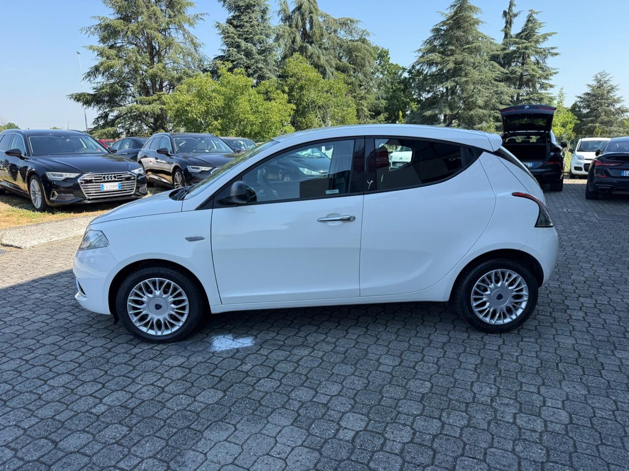 Lancia Ypsilon 1.2 69 CV 5 porte Platinum