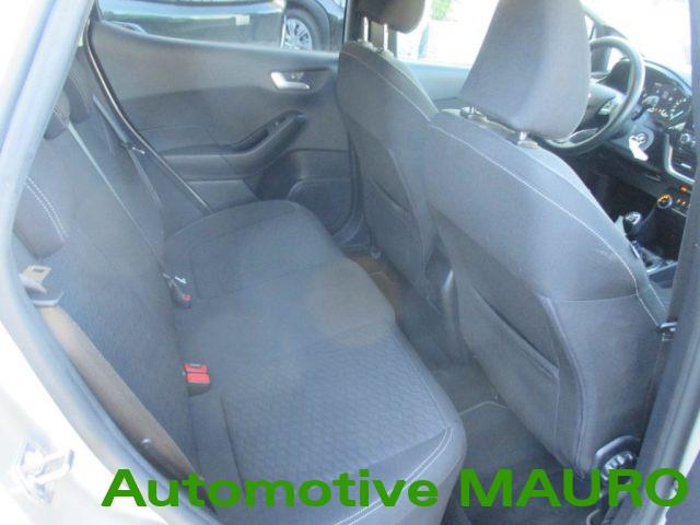 FORD Fiesta 1.0 Ecoboost Hybrid 125 CV 5 porte