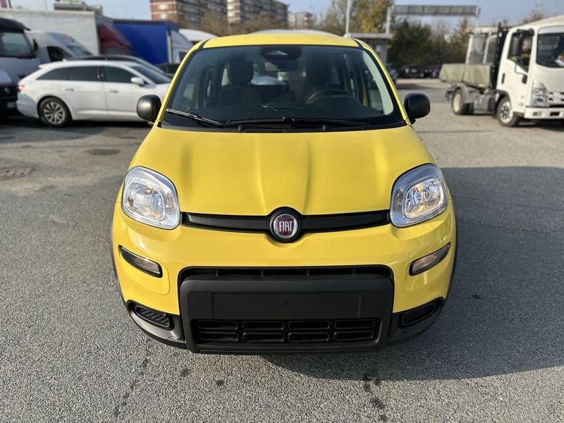 FIAT Panda 1.0 FireFly S&S Hybrid Pandina