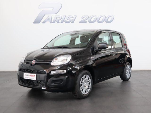 FIAT Panda 1.0 FireFly S&S Hybrid *PROMO PARISI GROUP*
