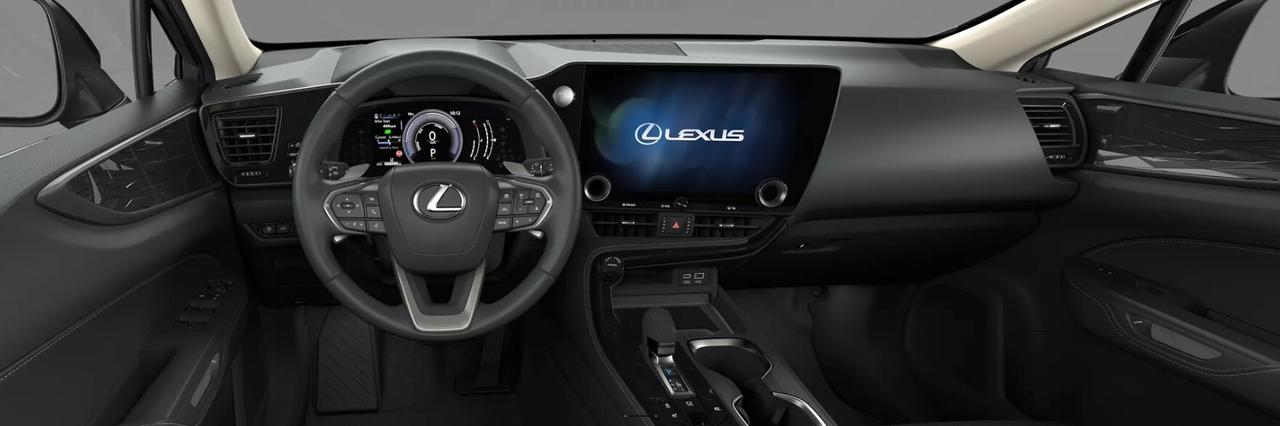 Lexus NX 300h Lexus NX 350h Premium+ 2.5 4wd e-cvt-Dettagli in Bio