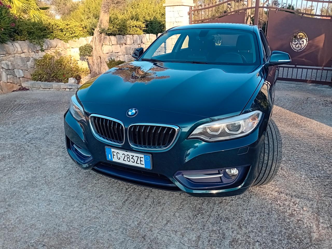 Bmw 220 218d Coupé Sport