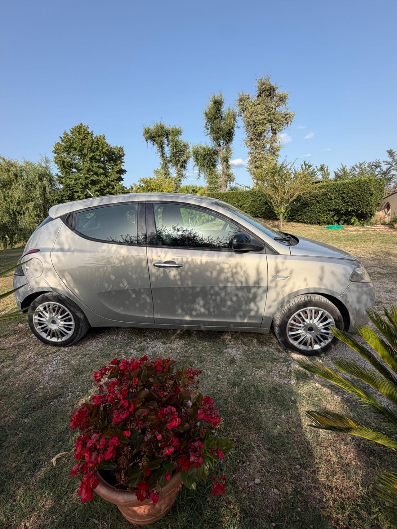 Lancia Ypsilon 1.3 MJT 16V 95 CV 5 porte S&S Platinum