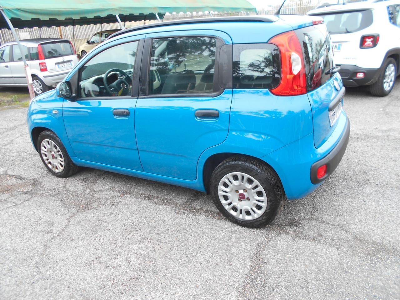 Fiat Panda 1.2 Lounge 5 POSTI NEOPATENTATI